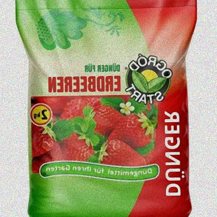 erdbeeren dünger