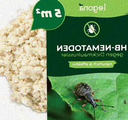 nematoden gegen kafer