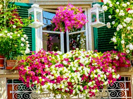 pflanzen für balkon ganzjährig