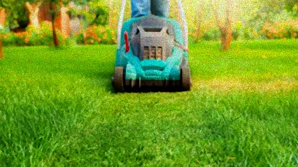 rasen im oktober mahen