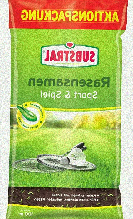 rasensamen und schnee