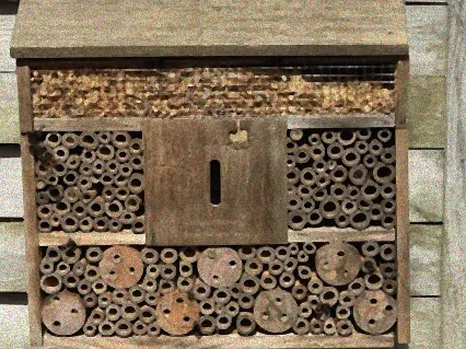 wann ziehen insekten ins insektenhotel